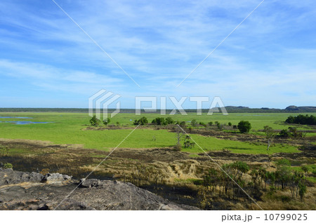 90806 カカドゥ国立公園 ウビルロック 90806 カカドゥ国立公園 ウビルロック 10799025