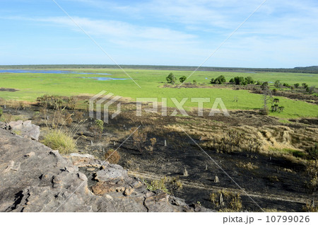90807 カカドゥ国立公園 ウビルロック 90807 カカドゥ国立公園 ウビルロック 10799026