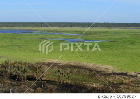 90809 カカドゥ国立公園 ウビルロック 90809 カカドゥ国立公園 ウビルロック 10799027