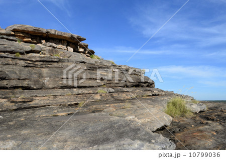 90818　カカドゥ国立公園　ウビルロック 10799036