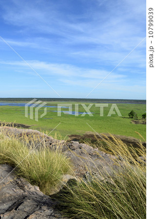 90822 カカドゥ国立公園 ウビルロック 90822 カカドゥ国立公園 ウビルロック 10799039