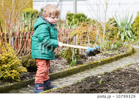 Little boy in spring with garden hoe, planting and gardening 10799329