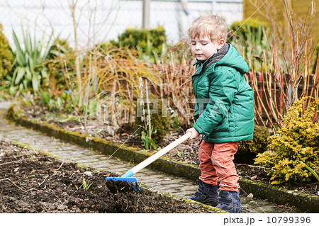Little boy in spring with garden hoe, planting and gardening Little boy in spring with garden hoe, planting and gardening 10799396