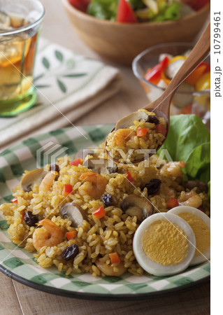 ドライカレー 10799461