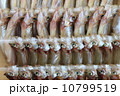 シシャモ 10799519