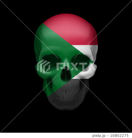 Sudanese flag skull 10802275