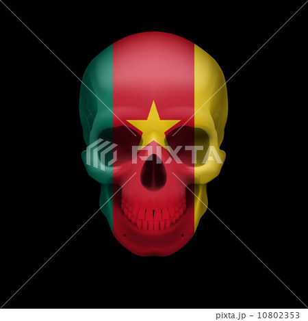 Cameroonian flag skull 10802353