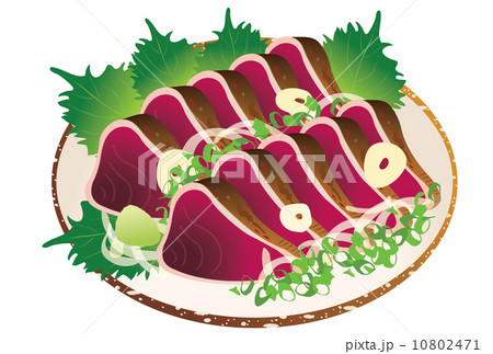 すべての動物の画像 ベスト50 カツオ イラスト 簡単