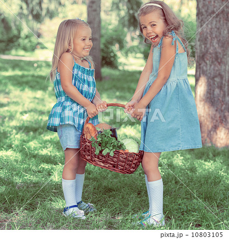 Two little girls carrying basket with organic food 10803105
