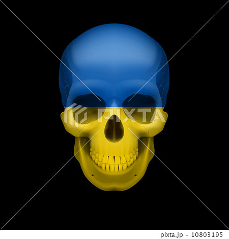 Ukrainian flag skull 10803195