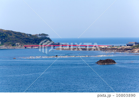 東尋坊から望む雄島橋 東尋坊から望む雄島橋 10803890