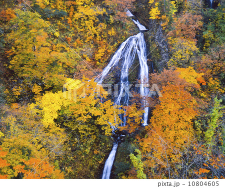 七ツ滝　山形県 10804605