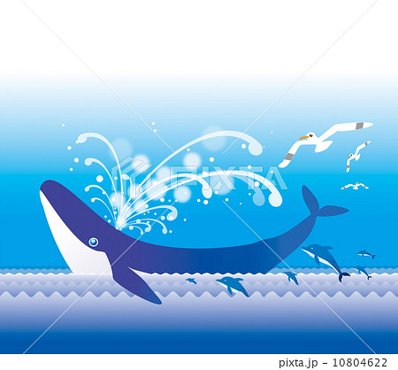 クジラの潮吹のイラスト素材