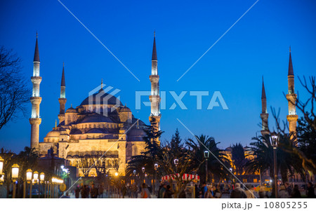 Blue mosque, Istanbul, Turkey 10805255