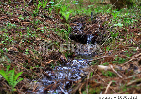 小さな川 10805323