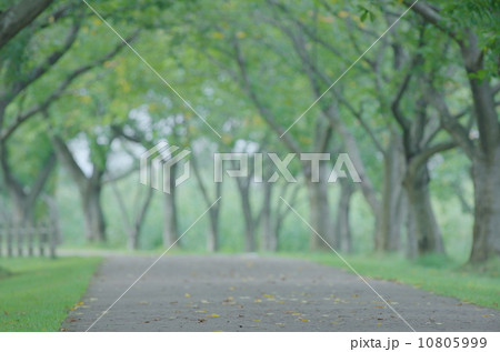 公園 公園 10805999