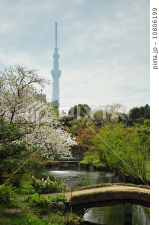 向島百花園 10806199
