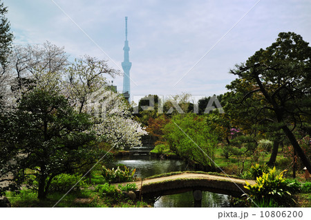向島百花園 10806200