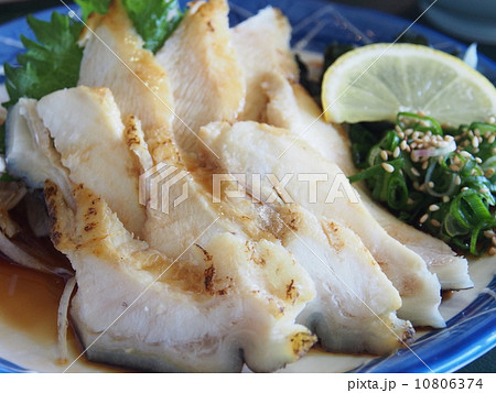 うつぼのたたき 10806374