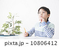 勉強する小学生の男の子 10806412