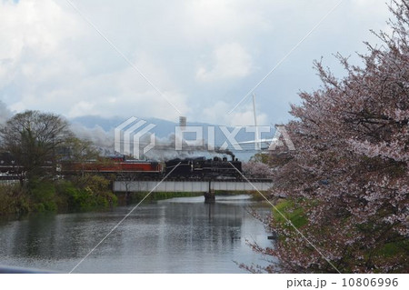 SLやまぐち号2014年春の運行 10806996