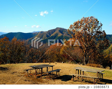陣馬山 山頂 10808873