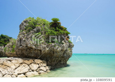 沖縄の海　久手堅海岸 10809591