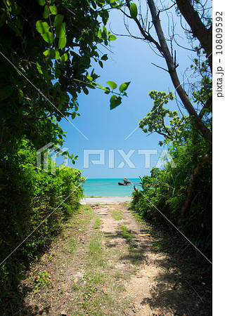 沖縄の海　久手堅海岸 10809592