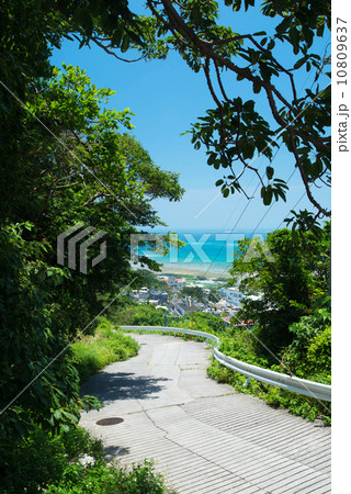 海の見える小道 10809637