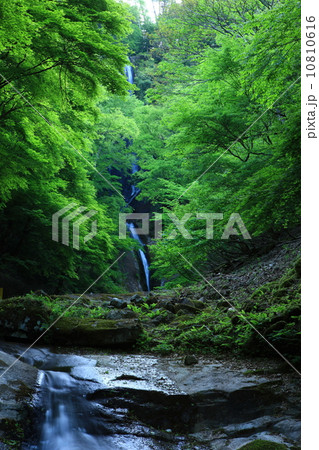 猿尾滝 猿尾滝 10810616