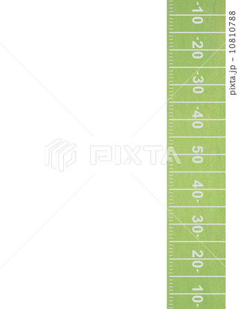 Fresh green grass Fresh green grass 10810788