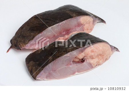 子持ち鰈 子持ち鰈 10810932