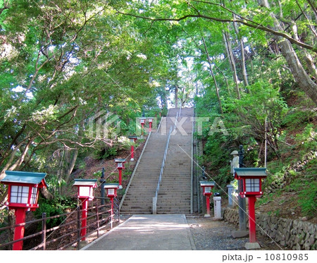 高尾山 高尾山薬王院 表参道 108段の男坂 高尾山 高尾山薬王院 表参道 108段の男坂 10810985