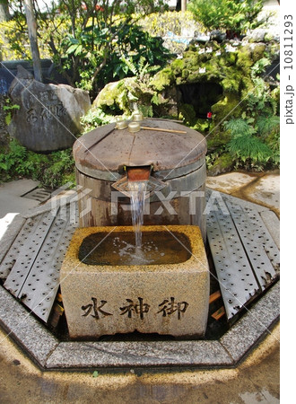 柴又帝釈天 柴又帝釈天 10811293