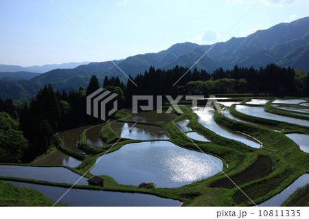 うへ山の棚田 10811335