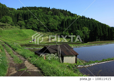 うへ山の棚田 うへ山の棚田 10811415