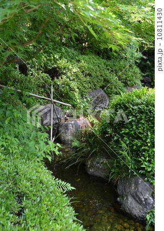 丈山苑　詩泉閣　南庭の筧 10811430