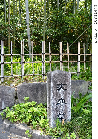 丈山苑への道 丈山苑への道 10811448