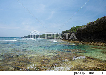 荒崎海岸 10811861