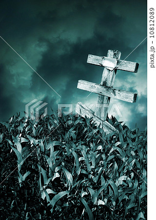 Halloween concept 10812089