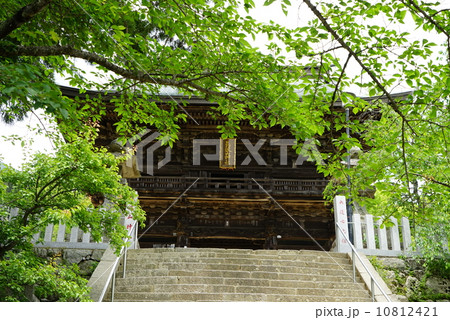 筑波山神社　随神門 10812421