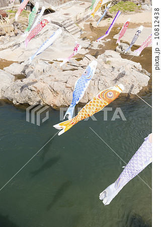 鯉のぼり 10812438