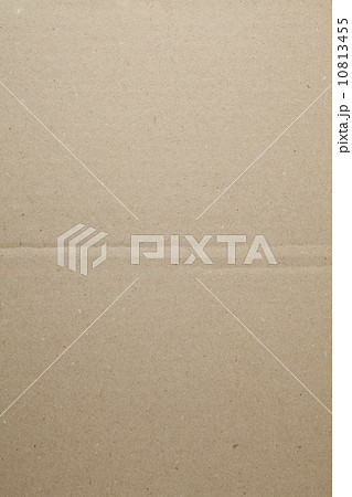 ダンボール 10813455