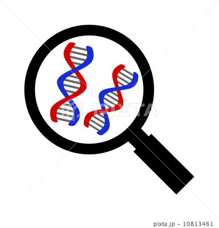 ルーペに映るDNA 10813461