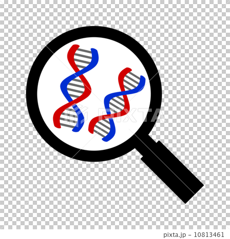 ルーペに映るDNA 10813461