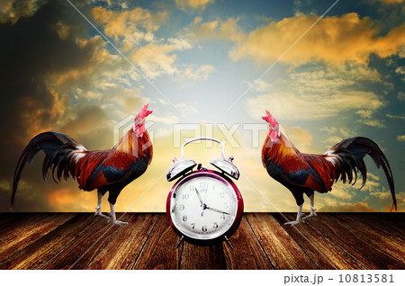 Wake up in the beautiful morning concept Wake up in the beautiful morning concept 10813581