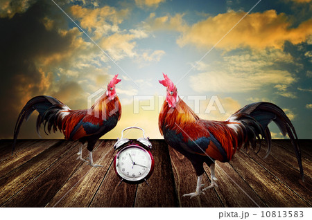 Wake up in the beautiful morning concept Wake up in the beautiful morning concept 10813583