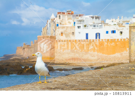 Essaouira - Magador, Marrakech, Morocco. 10813911