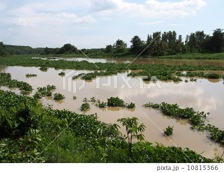 ベトナム クチ市 ベンユオック サイゴン川 ベトナム クチ市 ベンユオック サイゴン川 10815366