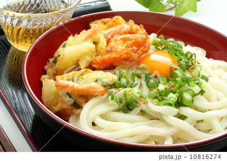 うどん 冷やしうどん 和食 麺類 アップ うどん 冷やしうどん 和食 麺類 アップ 10816274